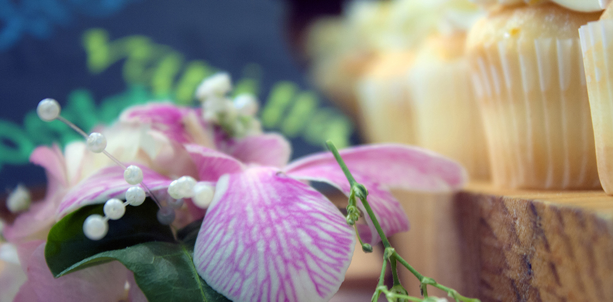 Orchids and Cupcakes