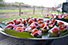 Canape Tray